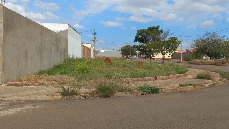 Terrenos e Chácaras-SÃO LUIZ-foto219020