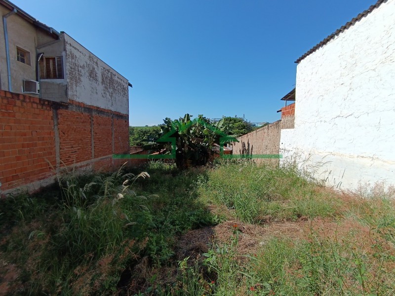 Terrenos e Chácaras-SANTA RITA GARÇAS-foto261493