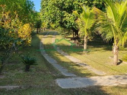 Terrenos e Chácaras-CHÁCARA RECREIO CRUZEIRO DO SUL-foto262277