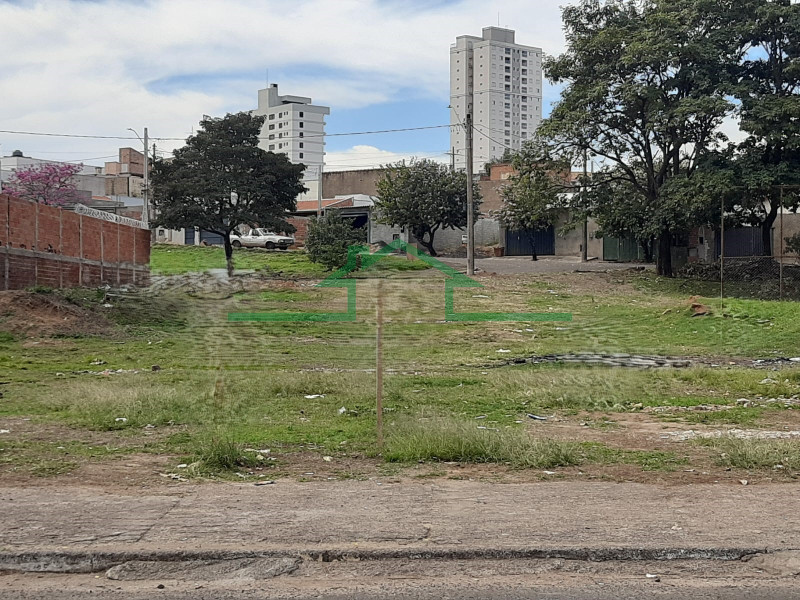 PAULISTA