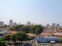 Apartamentos-ED. DONA AMÉLIA-foto180407